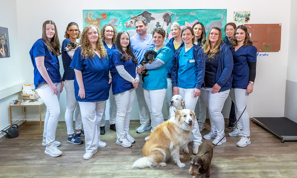 Unser Team
